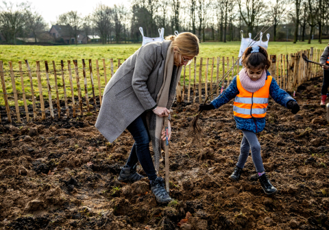 VolkerWessels legt Tiny Forest aan in Venlo